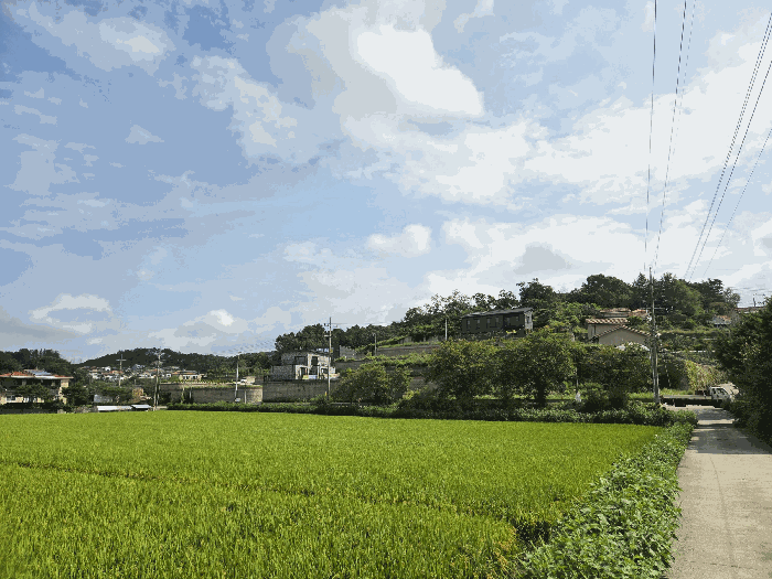 물건 사진 17