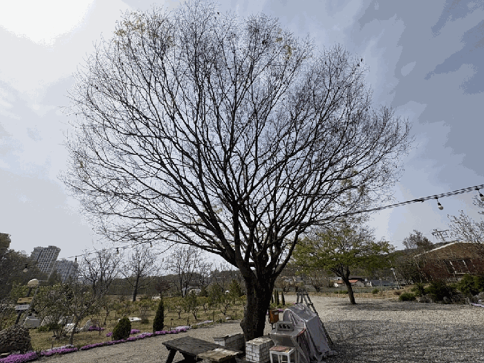 물건 사진 19