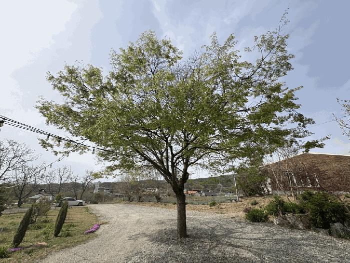 물건 사진 20