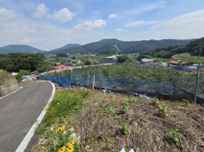 물건 사진 15