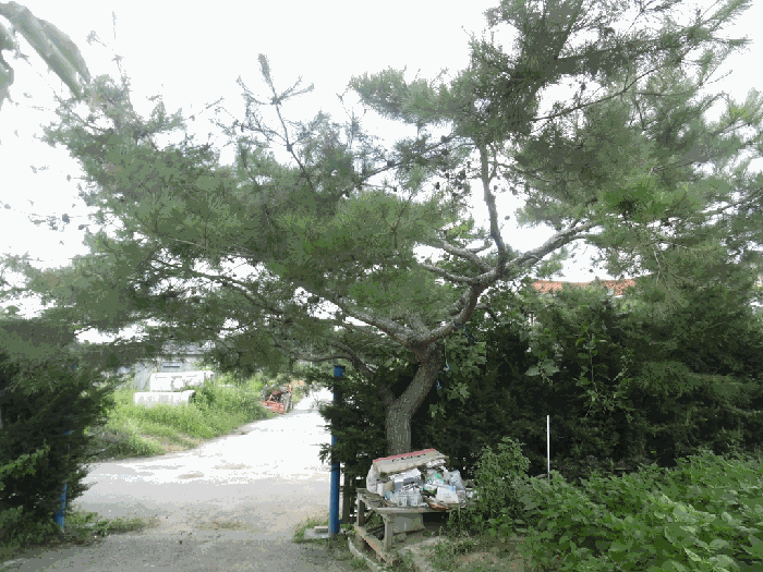 물건 사진 30