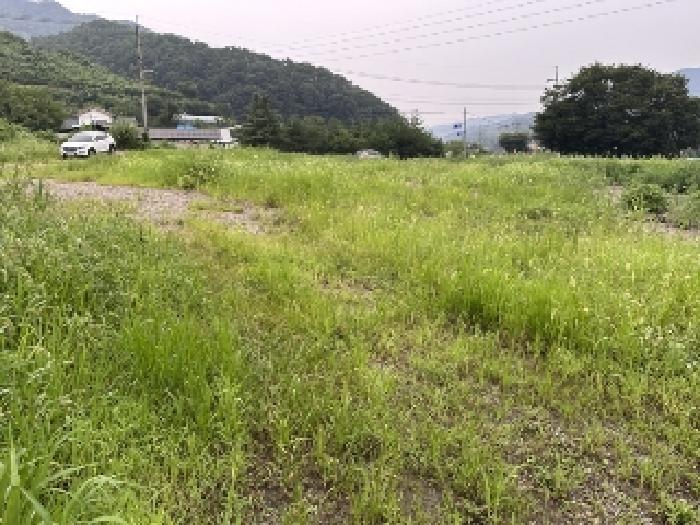 물건 사진 2