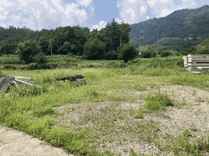 물건 사진 7