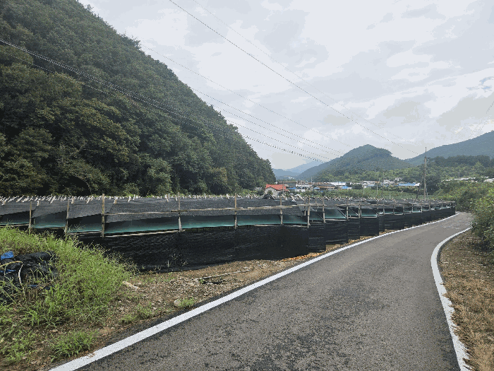 물건 사진 15