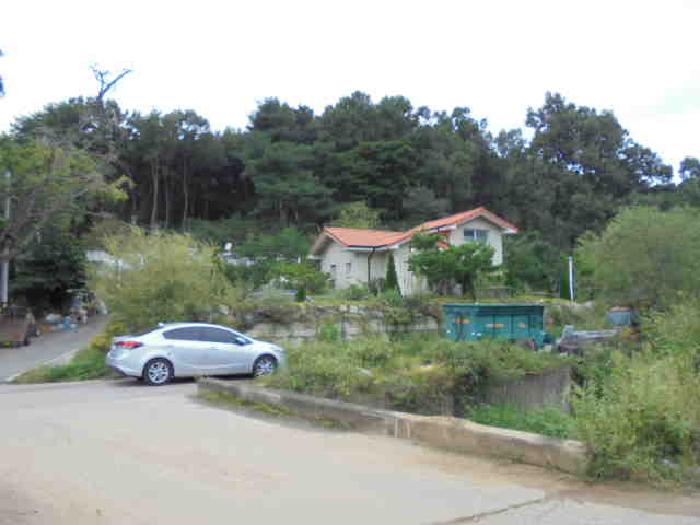 물건 사진 1