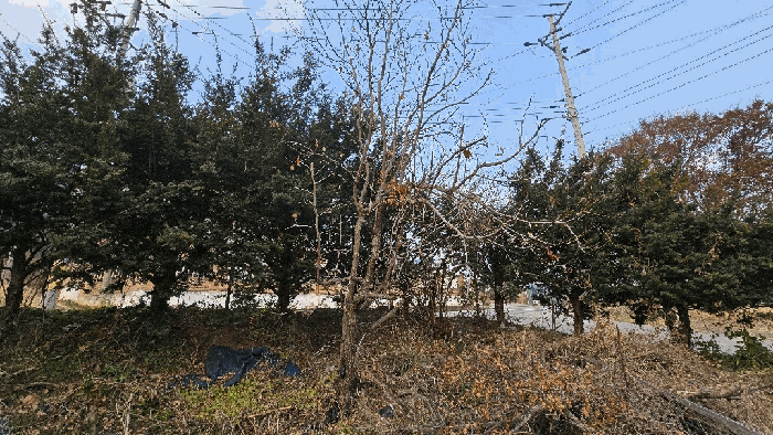 물건 사진 18