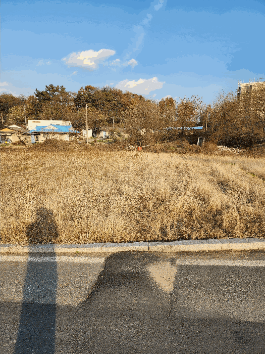 물건 사진 12