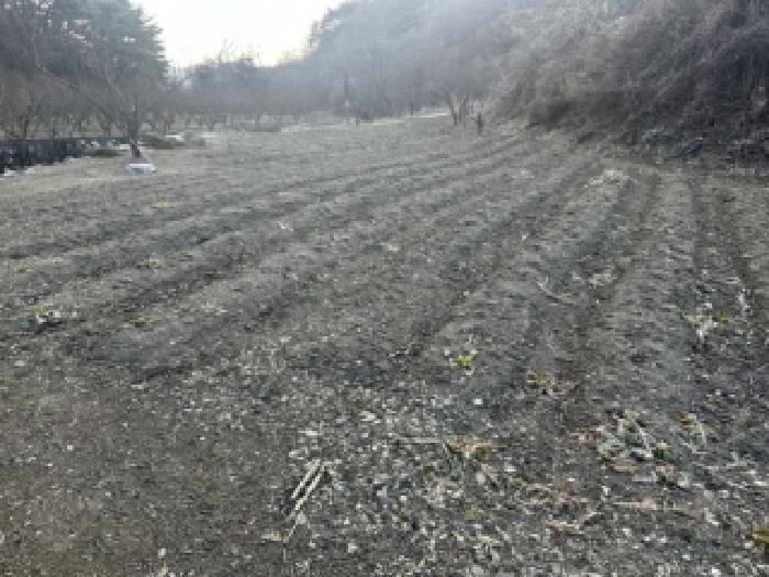 물건 사진 3