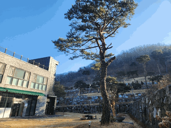 물건 사진 21