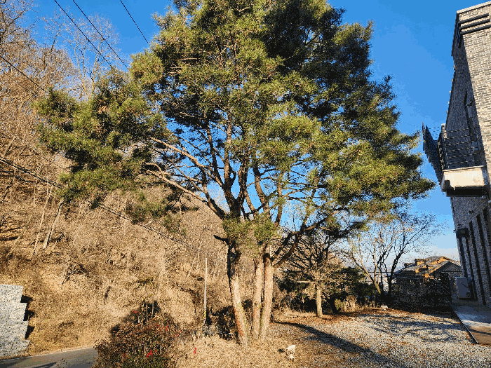 물건 사진 26