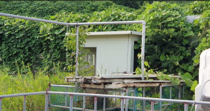 물건 사진 54