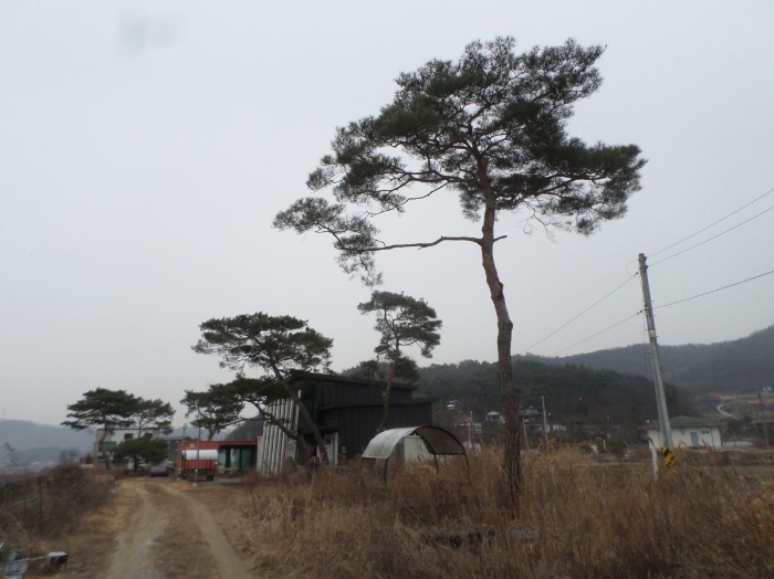 물건 사진 17