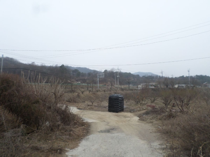물건 사진 19