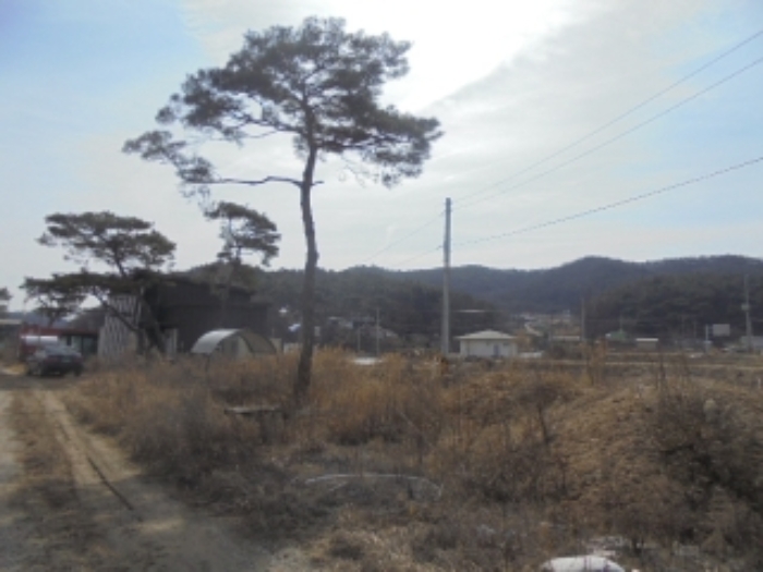 물건 사진 5