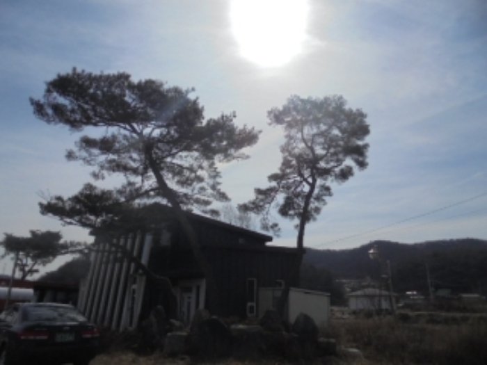 물건 사진 7