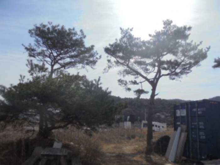 물건 사진 9