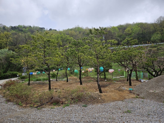물건 사진 14