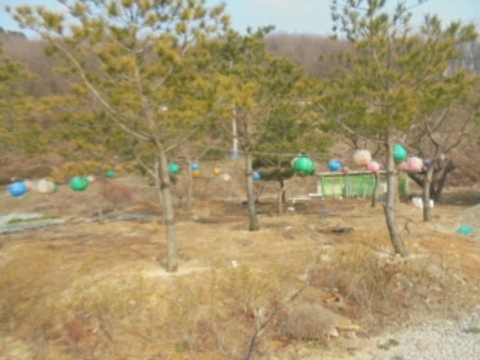 물건 사진 3