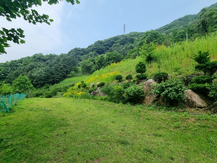물건 사진 18