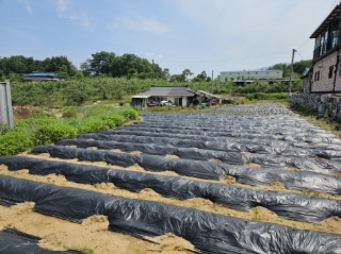 물건 사진 10