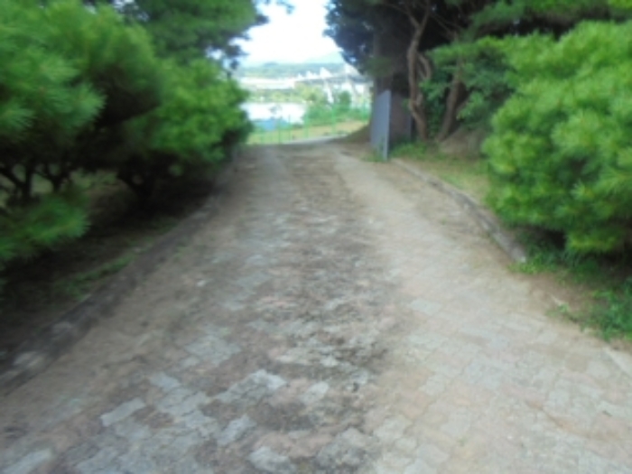 물건 사진 19