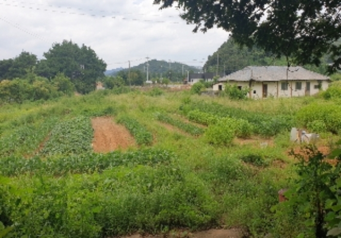 물건 사진 11
