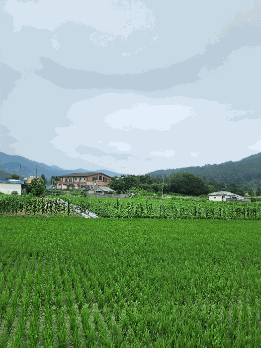 물건 사진 15