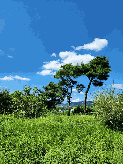 물건 사진 53