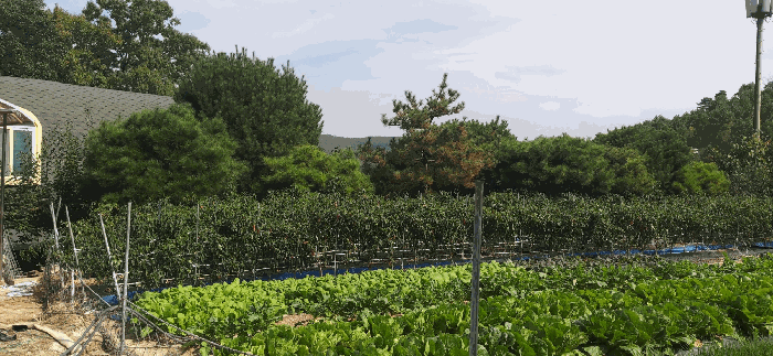 물건 사진 32