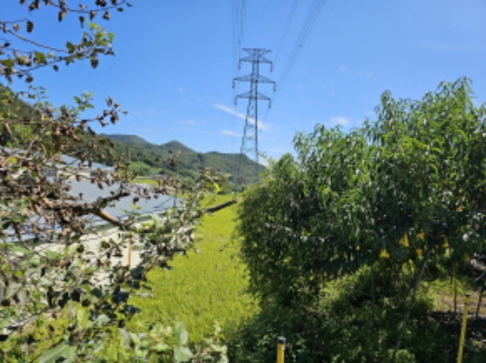 물건 사진 3