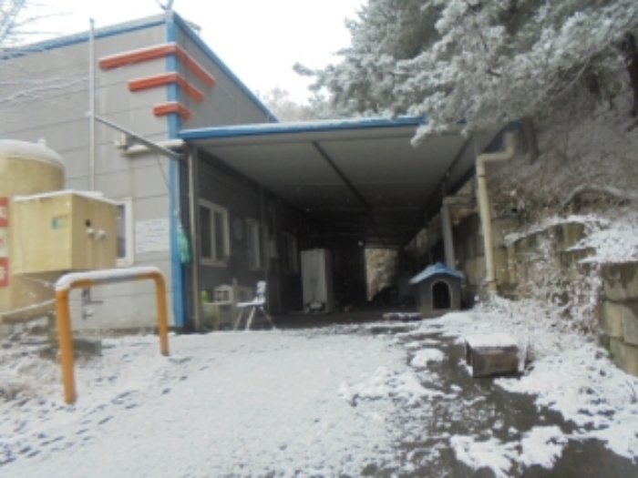 물건 사진 10