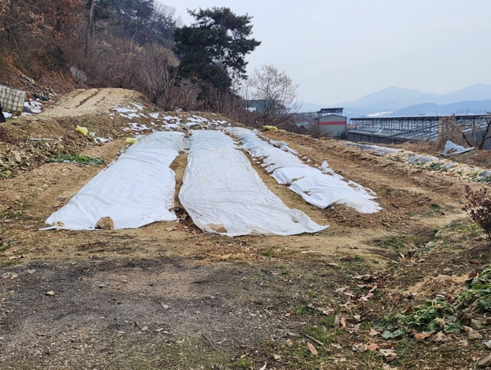 물건 사진 20