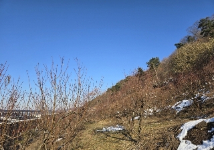 물건 사진 3
