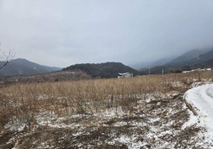물건 사진 1
