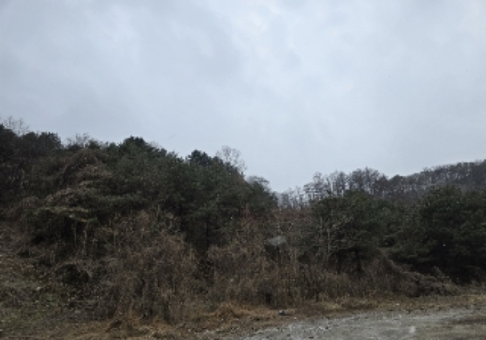 물건 사진 6