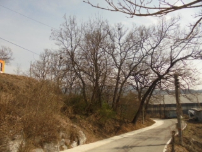 물건 사진 11