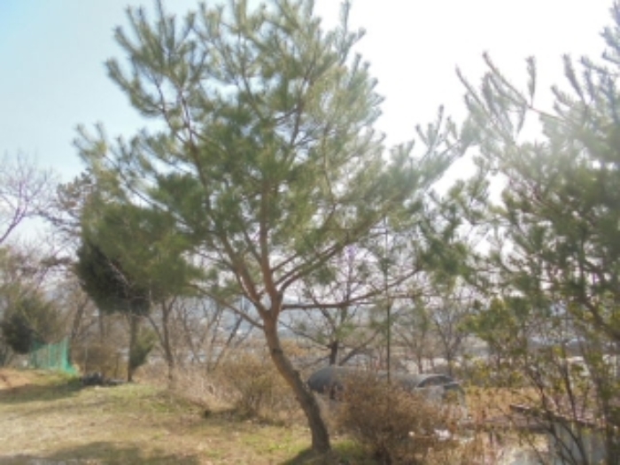 물건 사진 29