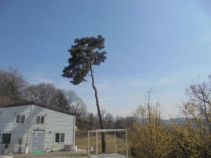 물건 사진 34
