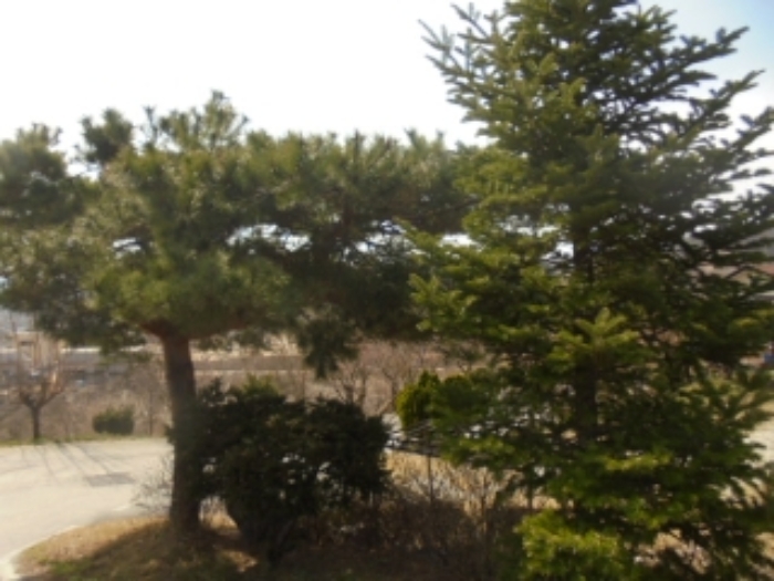 물건 사진 36