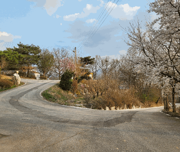 물건 사진 40