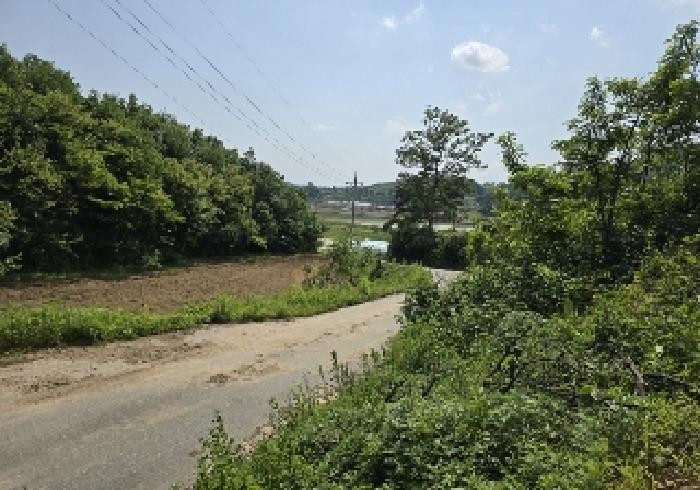 물건 사진 3
