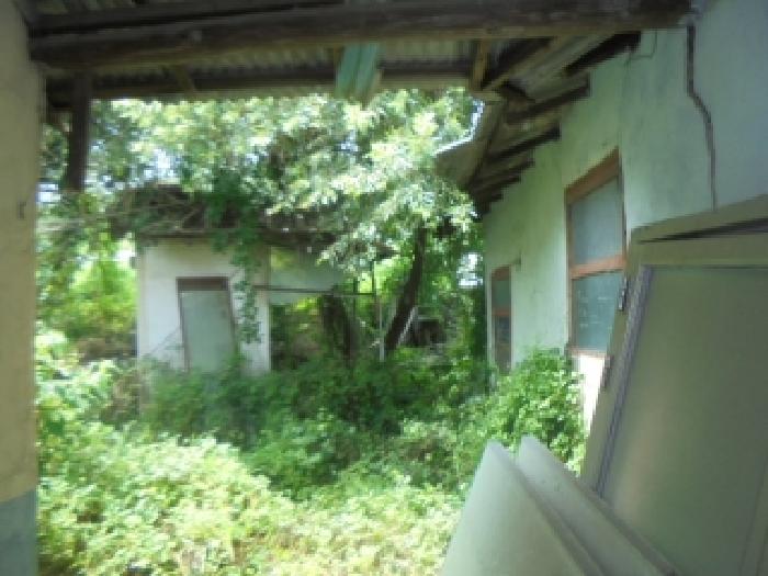 물건 사진 1