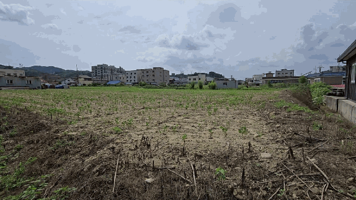 물건 사진 14