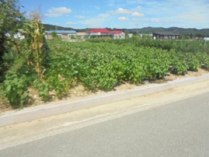물건 사진 5