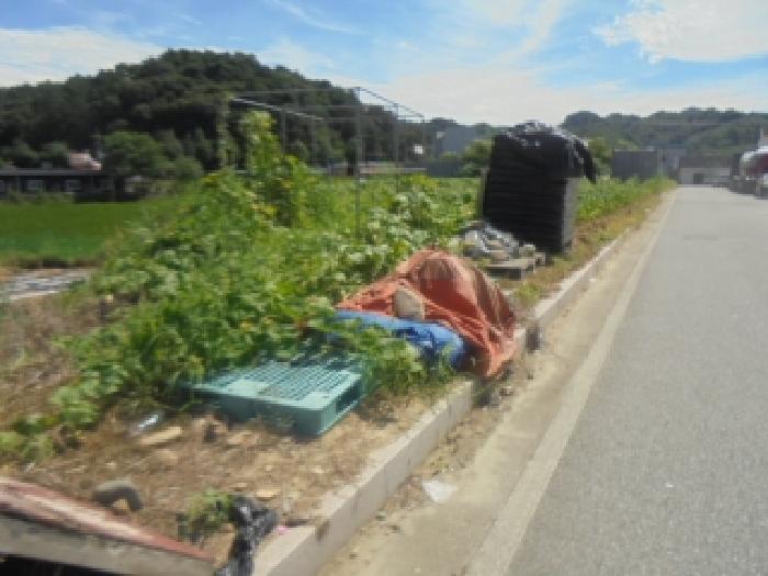 물건 사진 7