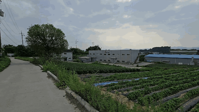 물건 사진 11