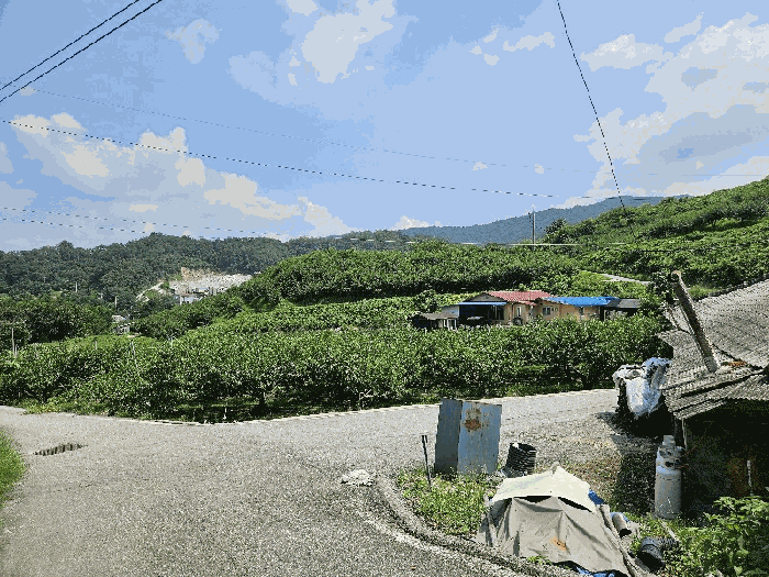 물건 사진 14