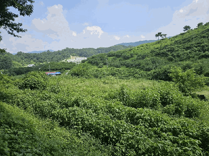 물건 사진 9