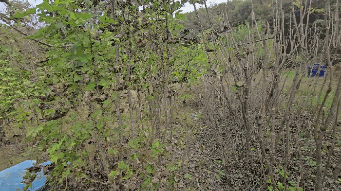 물건 사진 20