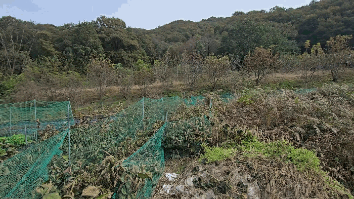 물건 사진 26